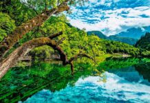 How to Plan a Summer Trip to China How to plan a summer trip to China