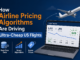 How Airline Pricing Algorithms Are Driving Ultra-Cheap US Flights How Airline Pricing Algorithms Are Driving Ultra-Cheap US Flights