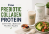 How Prebiotic Collagen Protein Can Fit Into a Balanced Nutrition Routine Prebiotic Collagen Protein