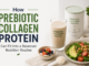 How Prebiotic Collagen Protein Can Fit Into a Balanced Nutrition Routine Prebiotic Collagen Protein