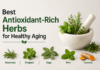 Best Antioxidant-Rich Herbs for Healthy Aging Antioxidant-Rich Herbs