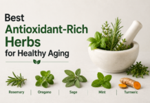 Best Antioxidant-Rich Herbs for Healthy Aging Antioxidant-Rich Herbs