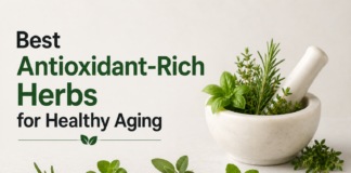 Best Antioxidant-Rich Herbs for Healthy Aging Antioxidant-Rich Herbs