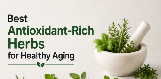 Best Antioxidant-Rich Herbs for Healthy Aging Antioxidant-Rich Herbs