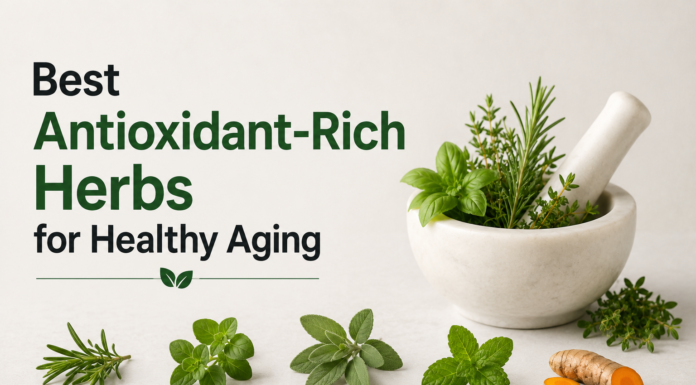 Best Antioxidant-Rich Herbs for Healthy Aging Antioxidant-Rich Herbs