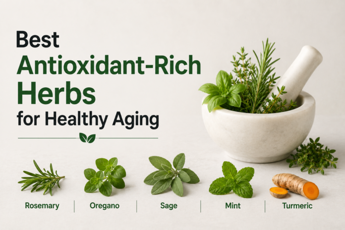 Antioxidant-Rich Herbs