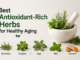 Best Antioxidant-Rich Herbs for Healthy Aging Antioxidant-Rich Herbs