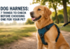 Dog Harness: 7 Things to Check Before Choosing One for Your Pet Dog Harness
