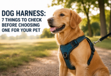 Dog Harness: 7 Things to Check Before Choosing One for Your Pet Dog Harness