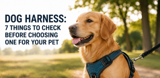 Dog Harness: 7 Things to Check Before Choosing One for Your Pet Dog Harness