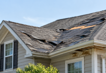Signs You Need Immediate Roof Replacement Signs You Need Immediate Roof Replacement