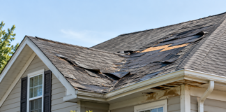 Signs You Need Immediate Roof Replacement Signs You Need Immediate Roof Replacement
