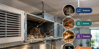 How Rodents, Insects, and Other Pests Can Affect Air Ducts Rodents, Insects, and Other Pests Can Affect Air Ducts
