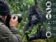 The Camera Setup for Photographing Mountain Gorillas in Low Light Camera Setup for Photographing Mountain Gorillas
